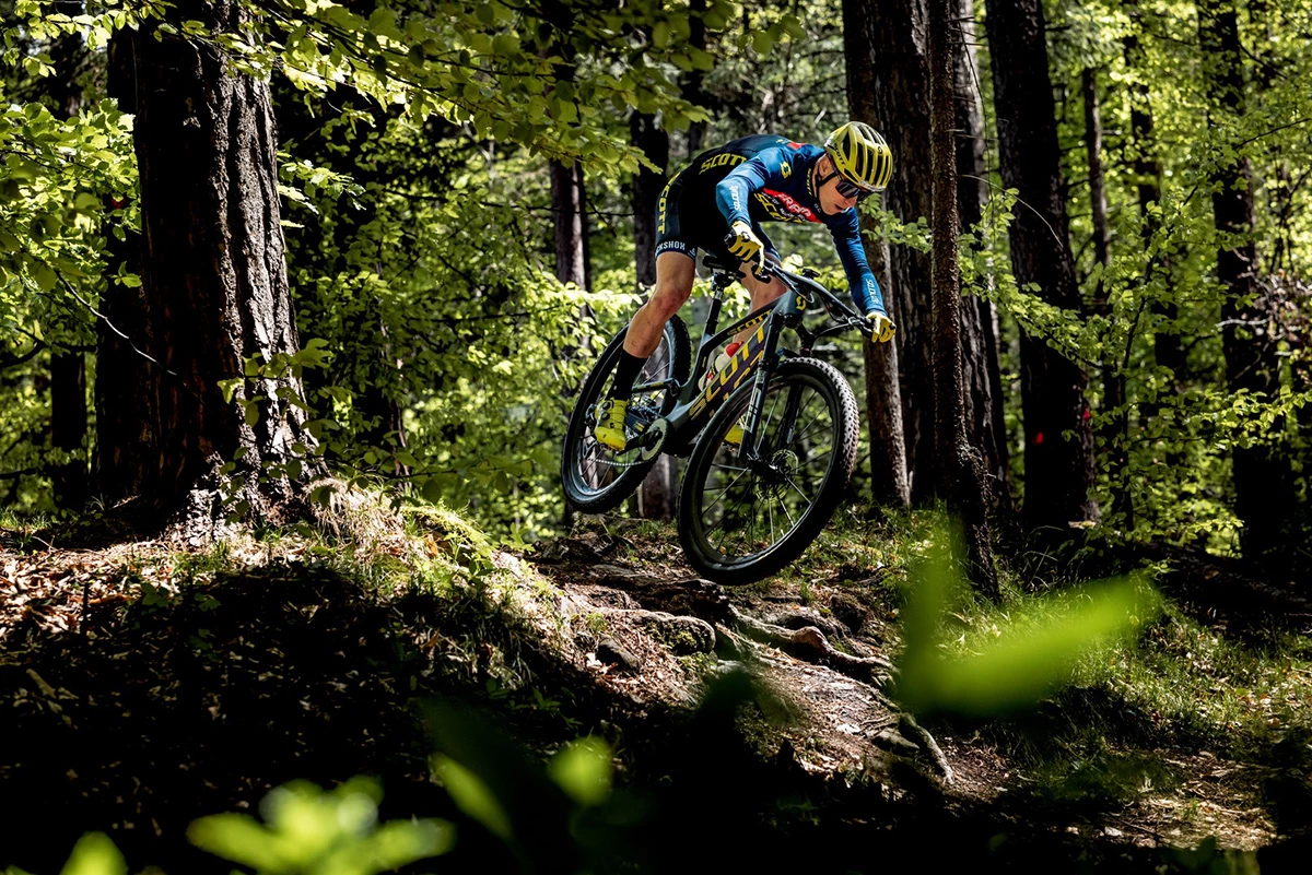 Scott Store -Scott Store Spark